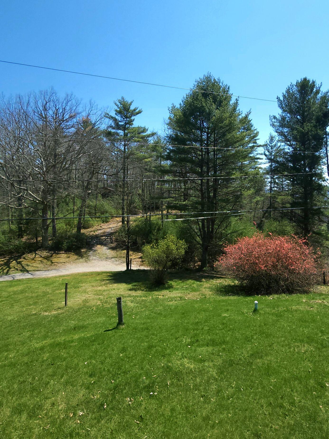 488 Hill Country Road Dunmore, WV 24934 - Photo 10 of 40 Gallery Image 10
