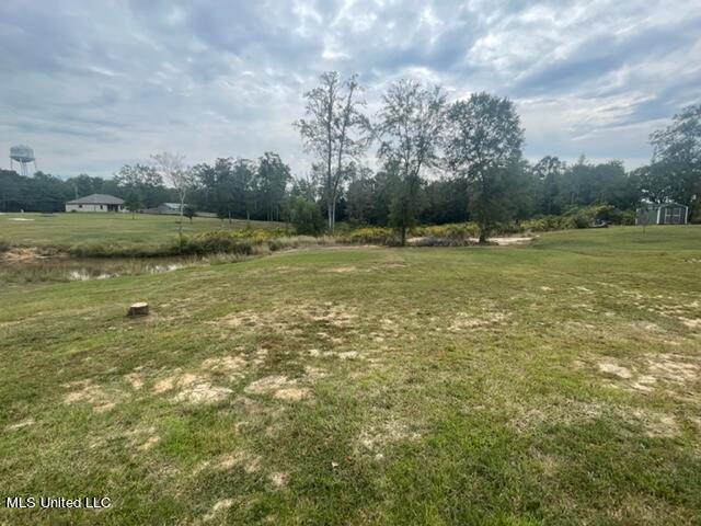 21 Camellia Road Carriere, MS 39426 - Photo 22 of 24 back yard