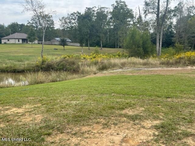 21 Camellia Road Carriere, MS 39426 - Photo 23 of 24 IMG_8235