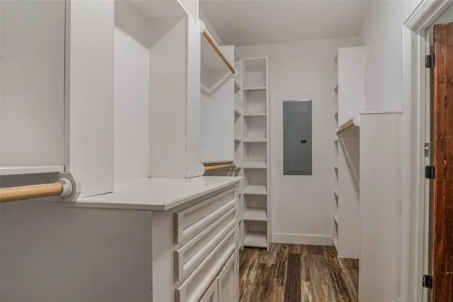 a view of a backyard with potted plants and large tree