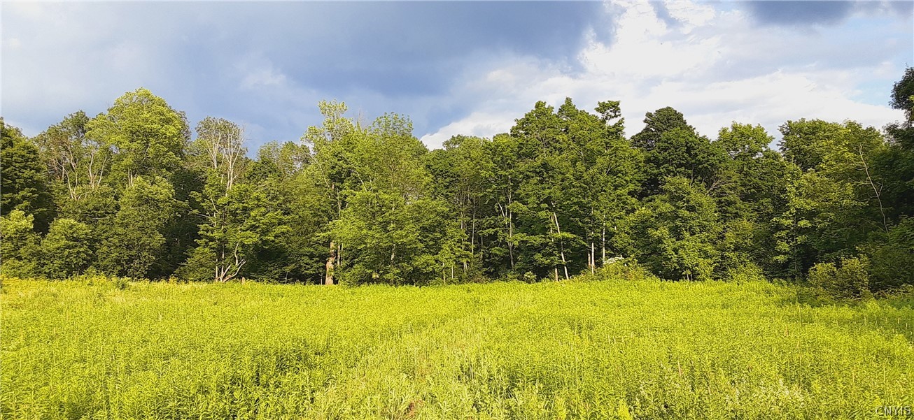 271 Snyder Road Newport, NY 13416 - Photo 36 of 41