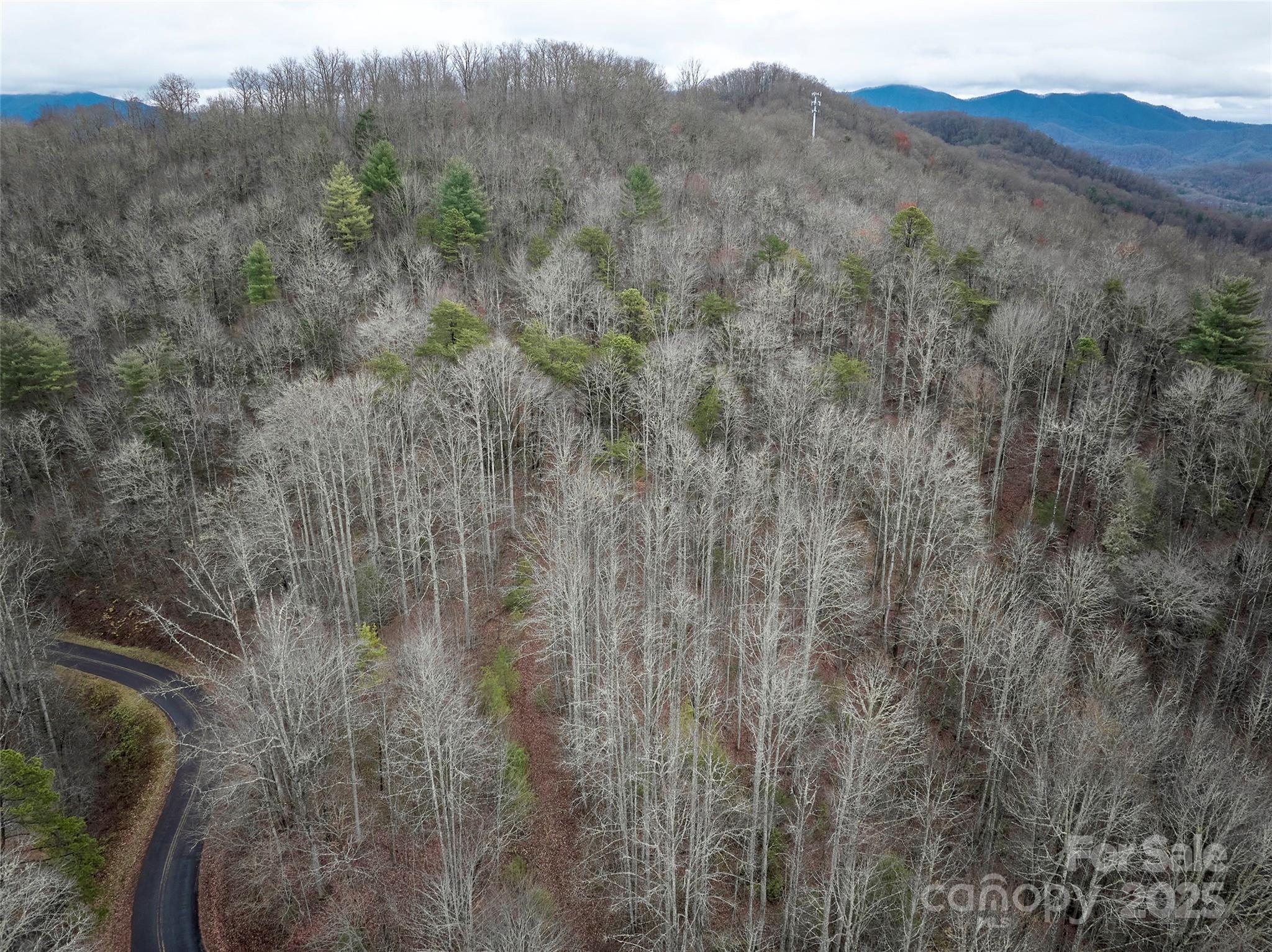 0 Troy Martin Road Whittier, NC 28789 - Photo 1 of 13 Gallery Image 1