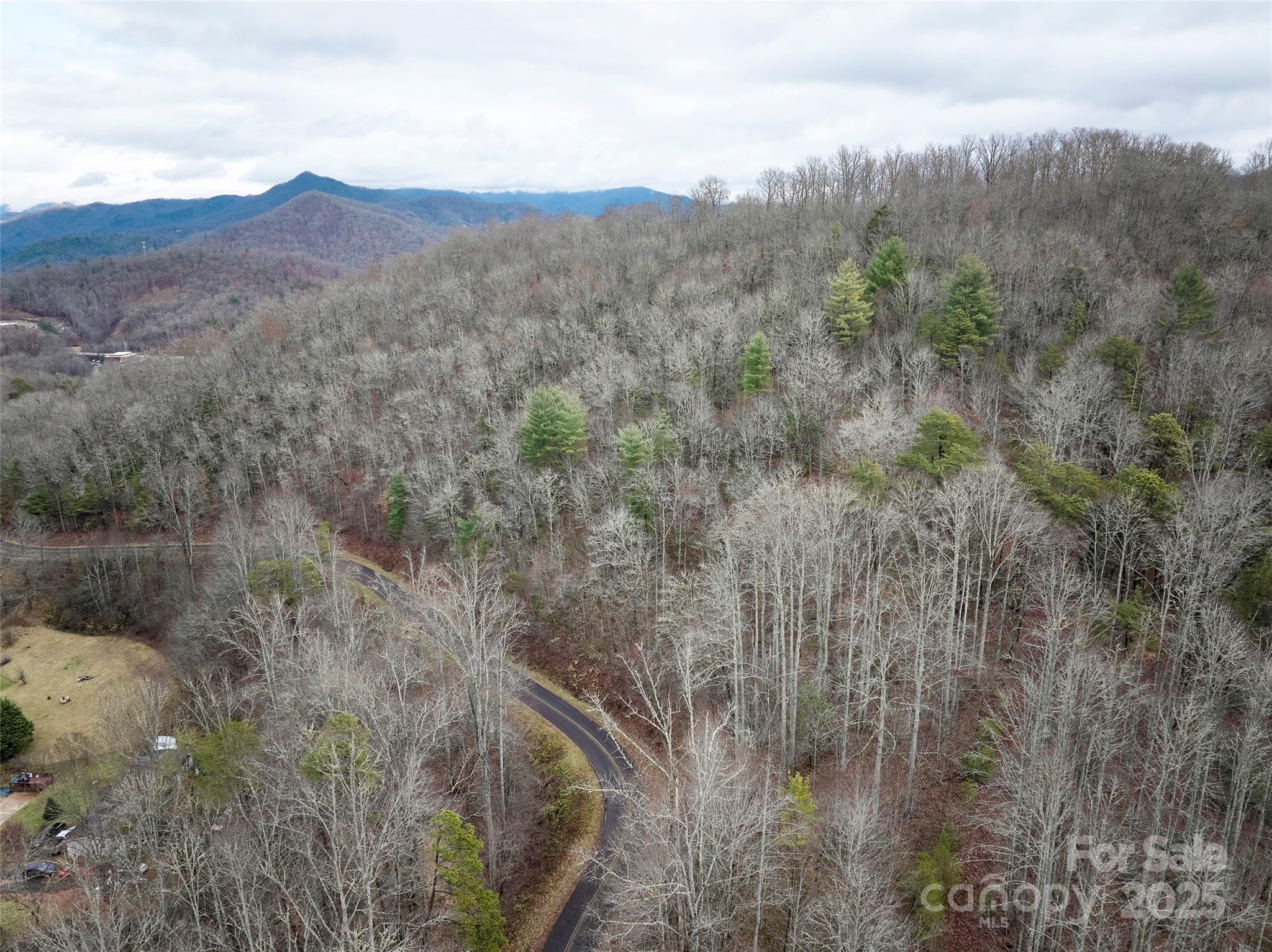 0 Troy Martin Road Whittier, NC 28789 - Photo 11 of 13 Gallery Image 11