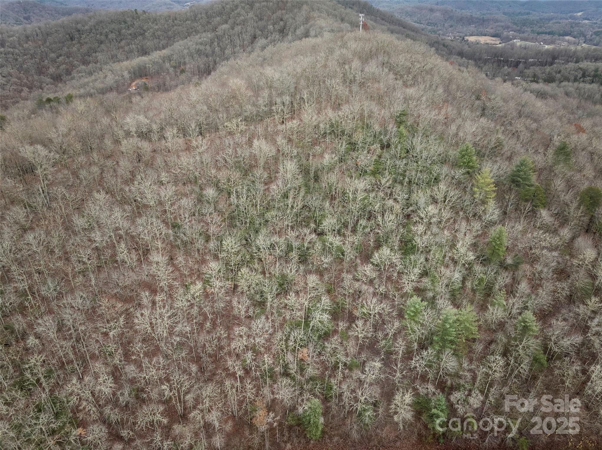 0 Troy Martin Road Whittier, NC 28789 - Photo 13 of 13 Gallery Image 13