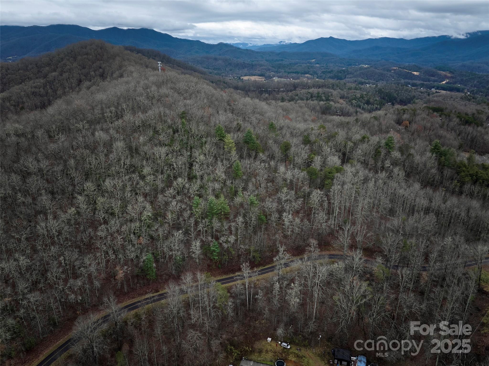 0 Troy Martin Road Whittier, NC 28789 - Photo 4 of 13 Gallery Image 4