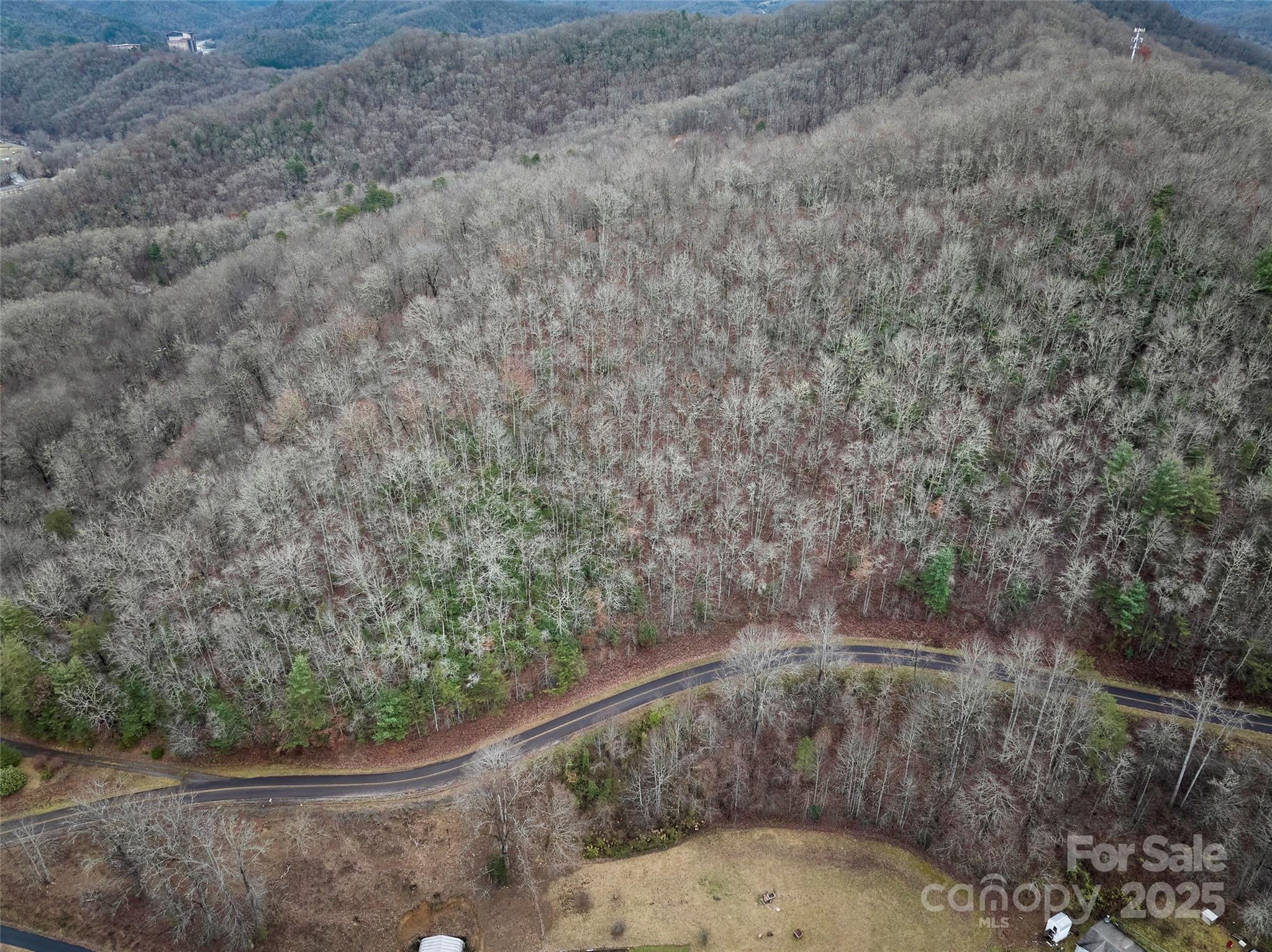0 Troy Martin Road Whittier, NC 28789 - Photo 5 of 13 Gallery Image 5