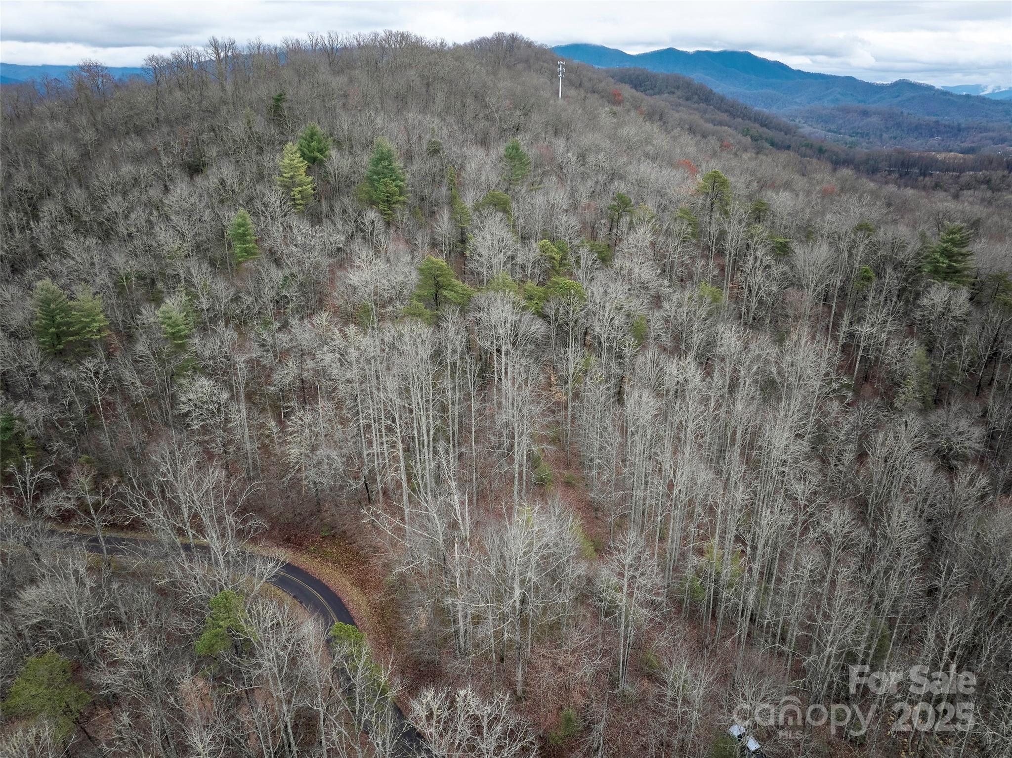 0 Troy Martin Road Whittier, NC 28789 - Photo 6 of 13 Gallery Image 6