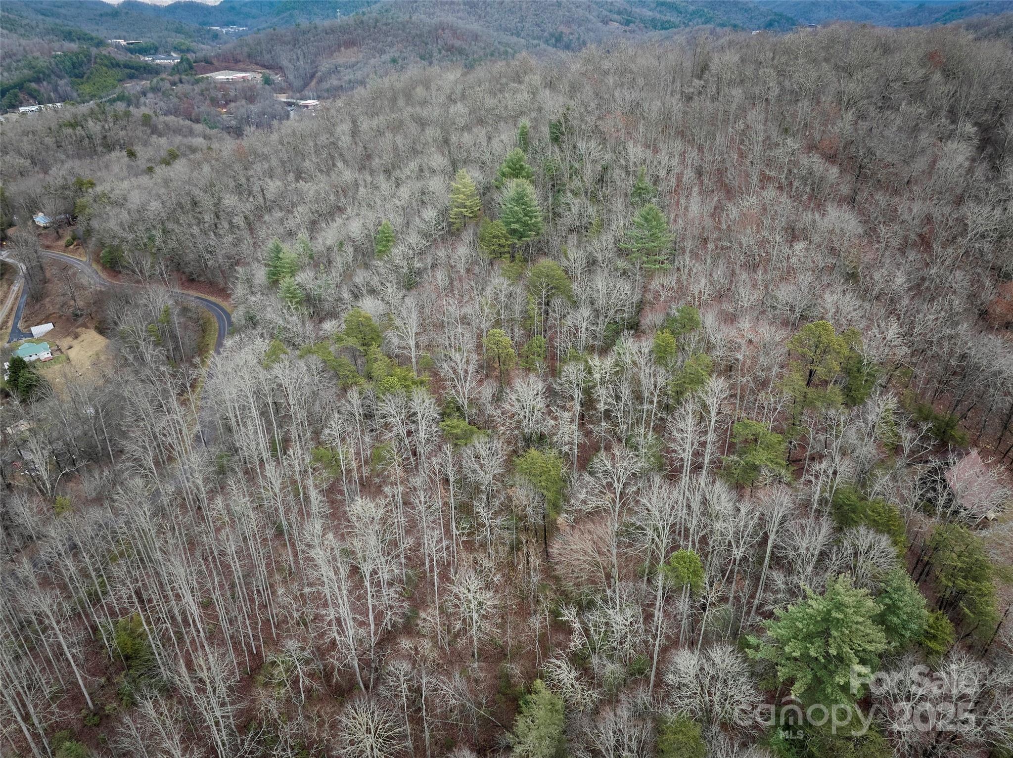0 Troy Martin Road Whittier, NC 28789 - Photo 7 of 13 Gallery Image 7