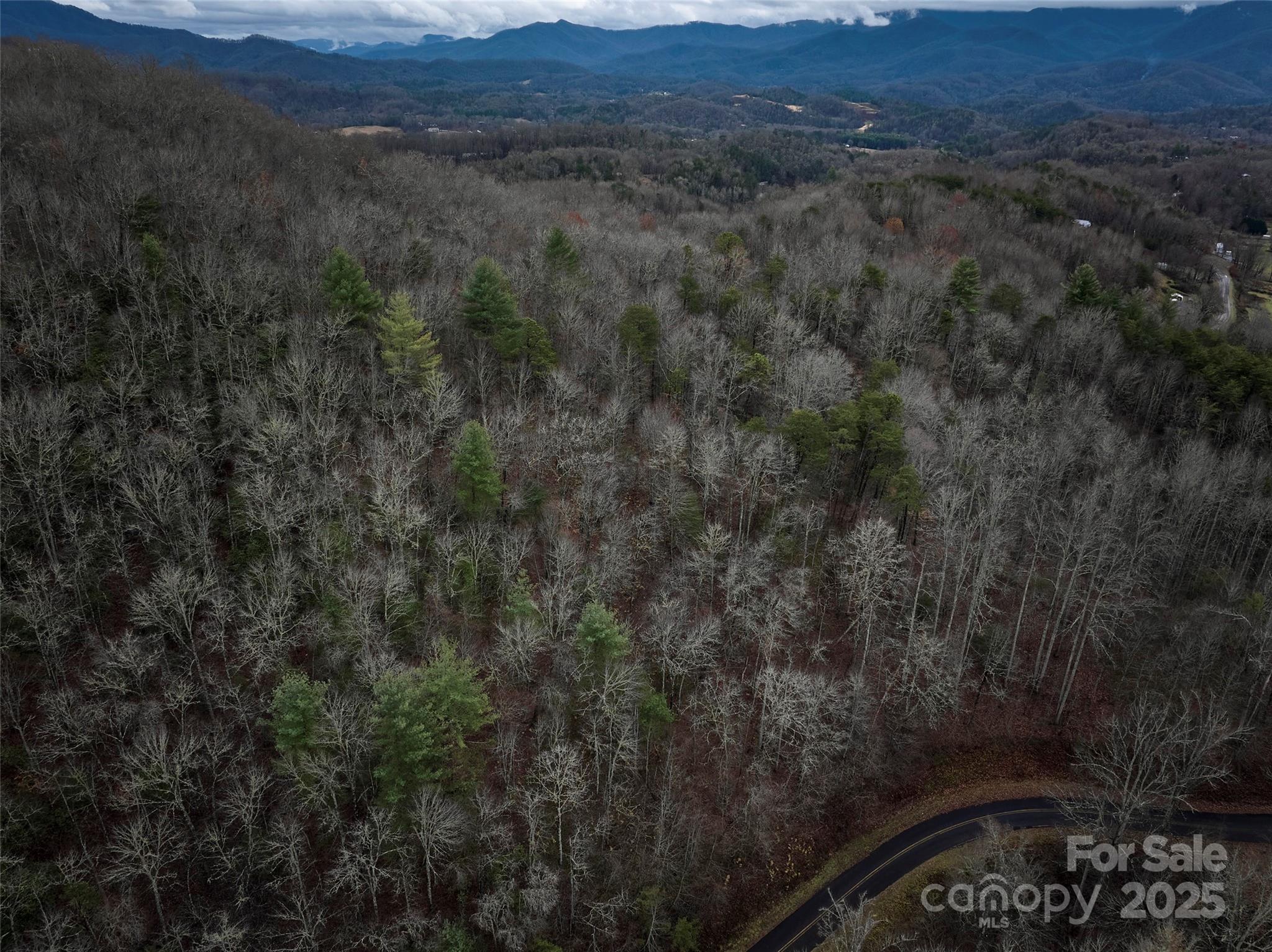 0 Troy Martin Road Whittier, NC 28789 - Photo 8 of 13 Gallery Image 8