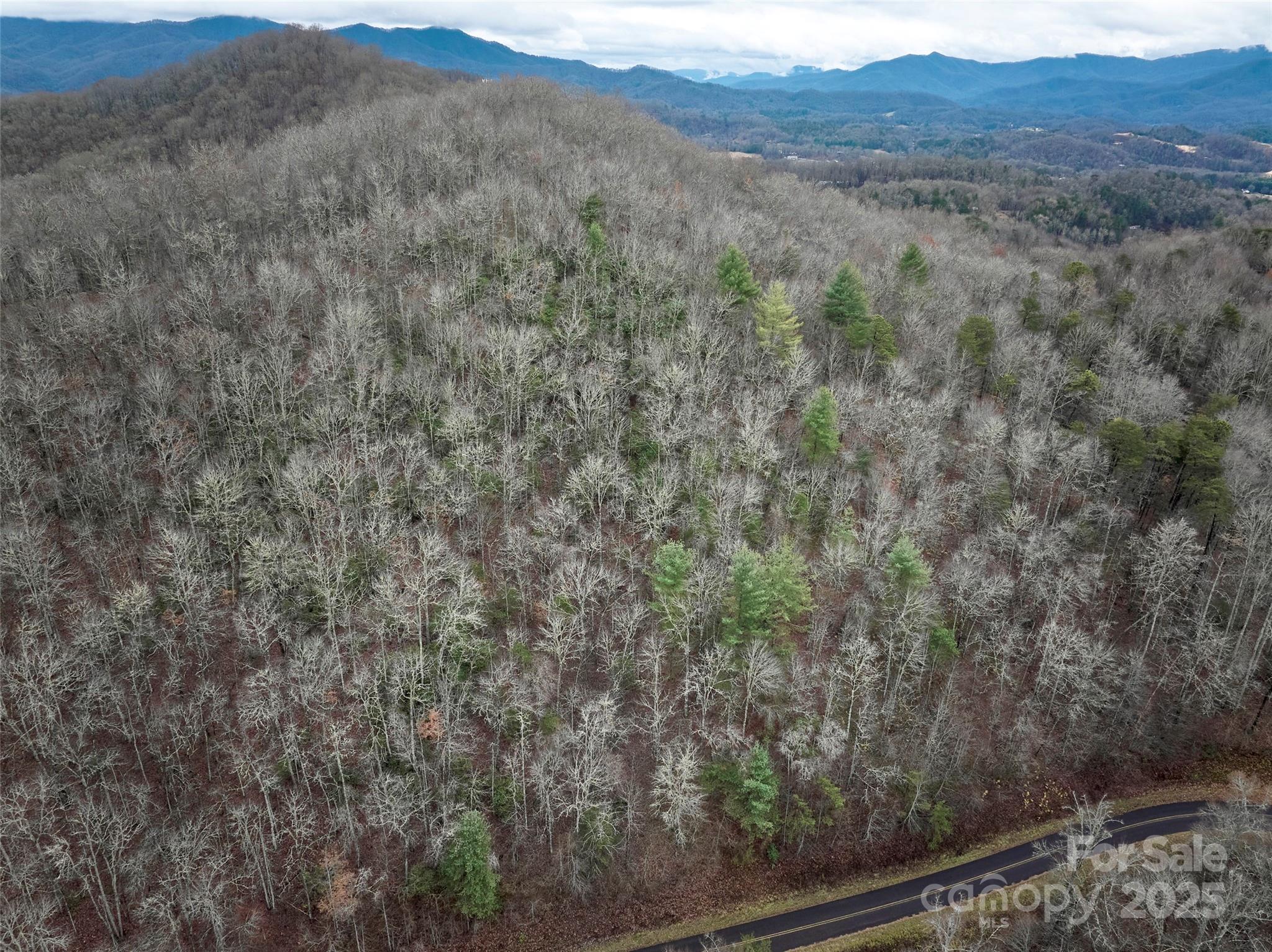 0 Troy Martin Road Whittier, NC 28789 - Photo 10 of 13 Gallery Image 10