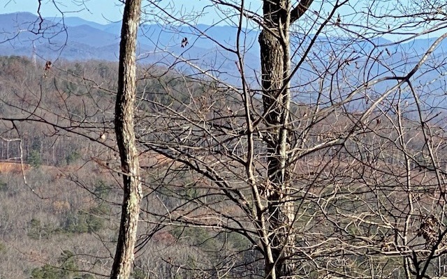 3 Sunrock Mountain Trace Blue Ridge, GA 30513 - Photo 1 of 10 Main View