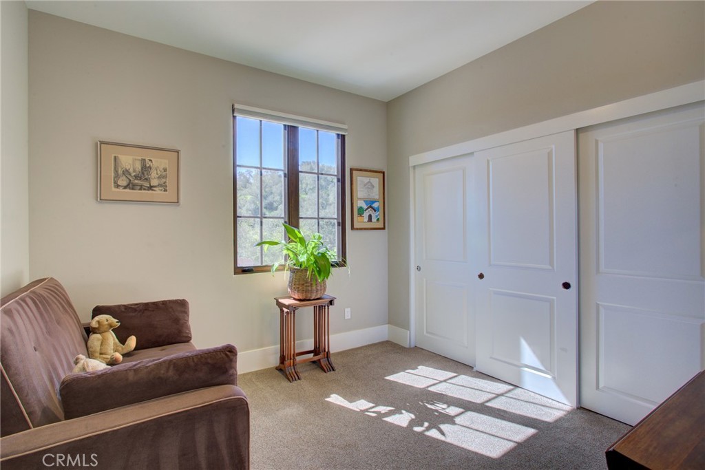 250 Mission Springs Road Arroyo Grande, CA 93420 - Photo 52 of 73 a living room with furniture and a potted plant