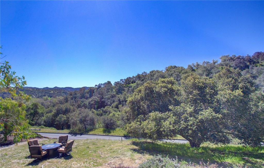 250 Mission Springs Road Arroyo Grande, CA 93420 - Photo 64 of 73 a view of a yard with a tree