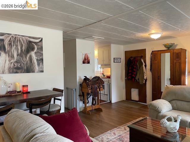 16629 Allison Way, Unit 22 Sonora, CA 95370 - Photo 6 of 30 Living room featuring wood finished floors and radiator