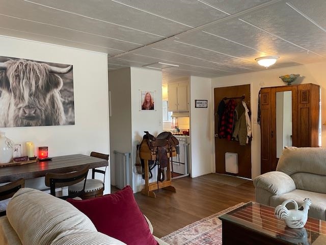 16629 Allison Way, Unit 22 Sonora, CA 95370 - Photo 6 of 31 Living room featuring wood finished floors and radiator