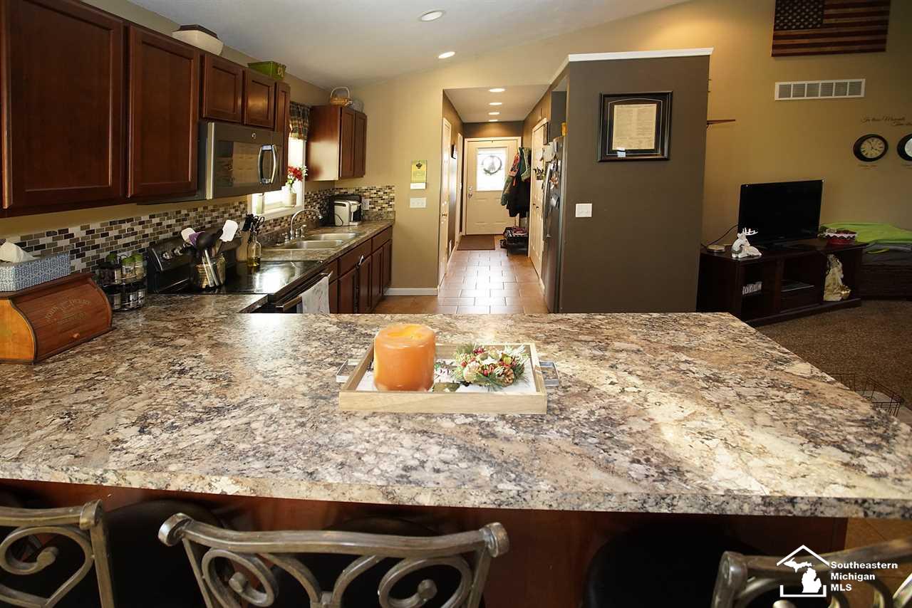 17111 Morocco Road Petersburg, MI 49270 - Photo 19 of 43 Gallery Image 19