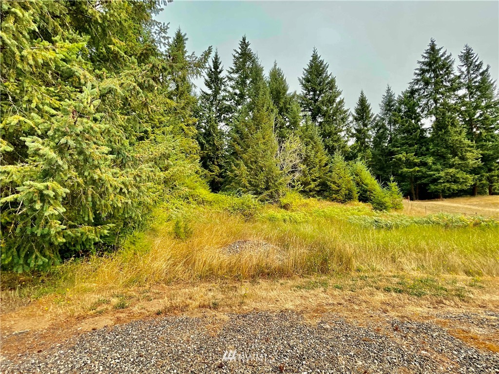 19225 Patterson Road East Orting, WA 98360 - Photo 12 of 34 a view of an ocean view