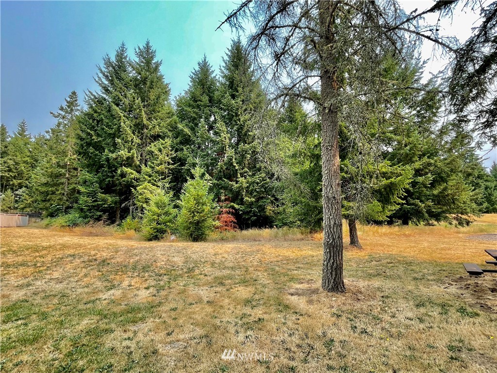 19225 Patterson Road East Orting, WA 98360 - Photo 13 of 34 a view of a tree in the middle of a yard