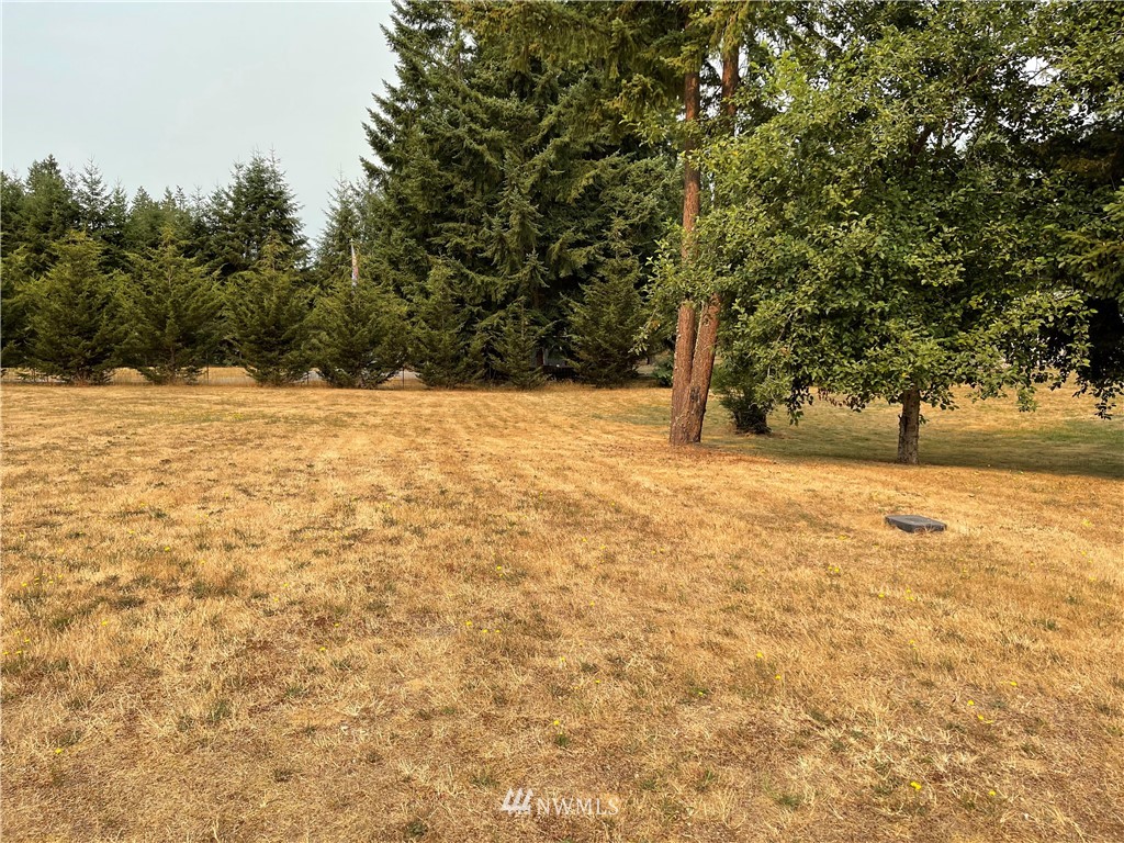 19225 Patterson Road East Orting, WA 98360 - Photo 7 of 34 a view of empty space with trees