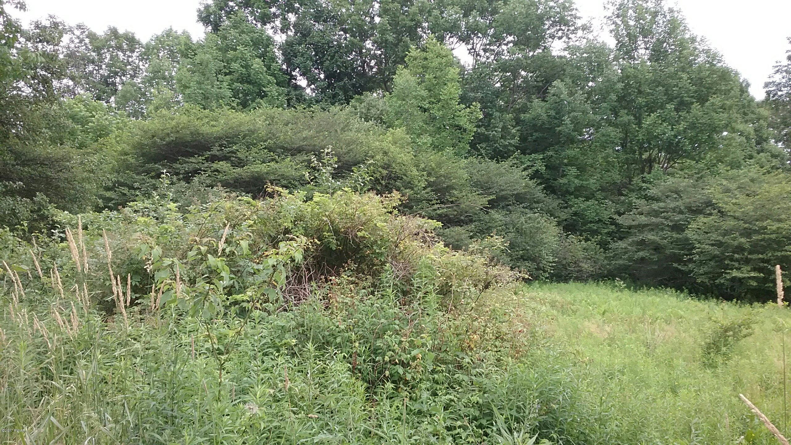 Bush Road Pleasant Mount, PA 18453 - Photo 6 of 8
