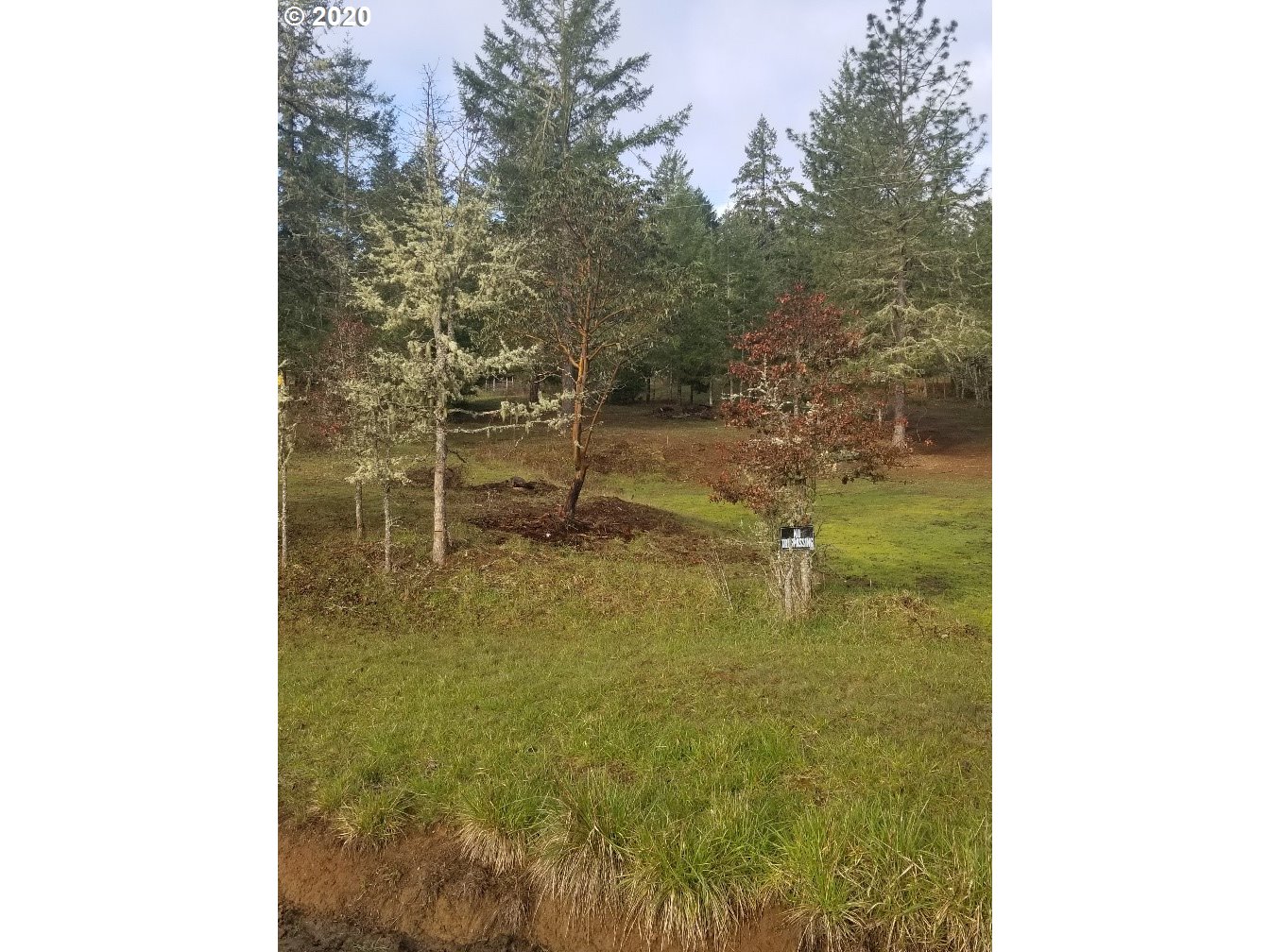 953 Lockwood Road Roseburg, OR 97471 - Photo 4 of 24 Gallery Image 4
