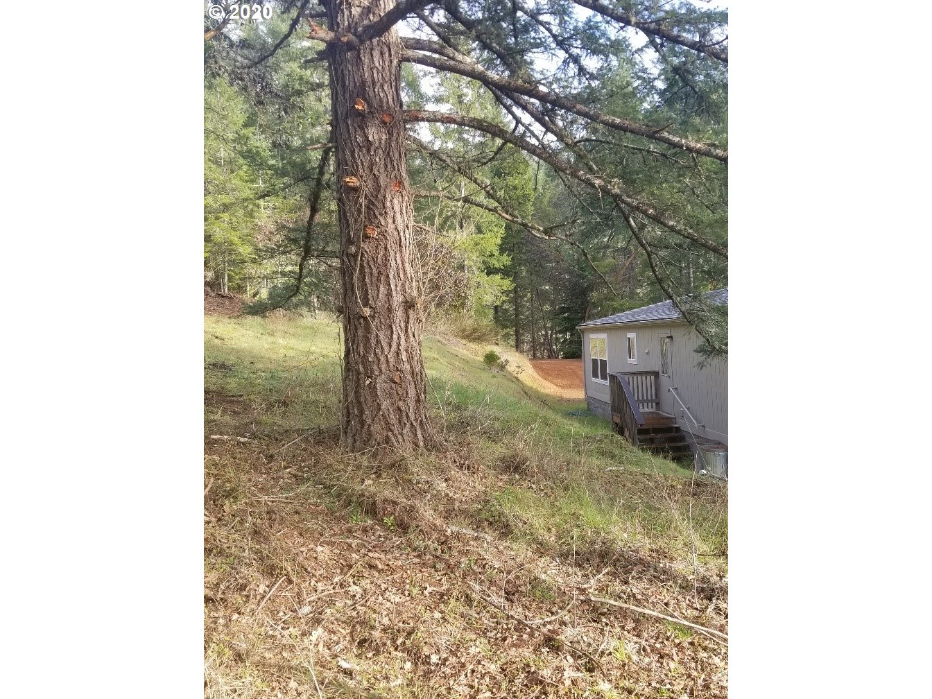 953 Lockwood Road Roseburg, OR 97471 - Photo 5 of 24 Gallery Image 5