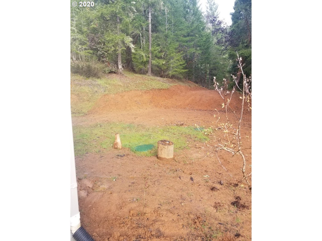 953 Lockwood Road Roseburg, OR 97471 - Photo 7 of 24 Gallery Image 7
