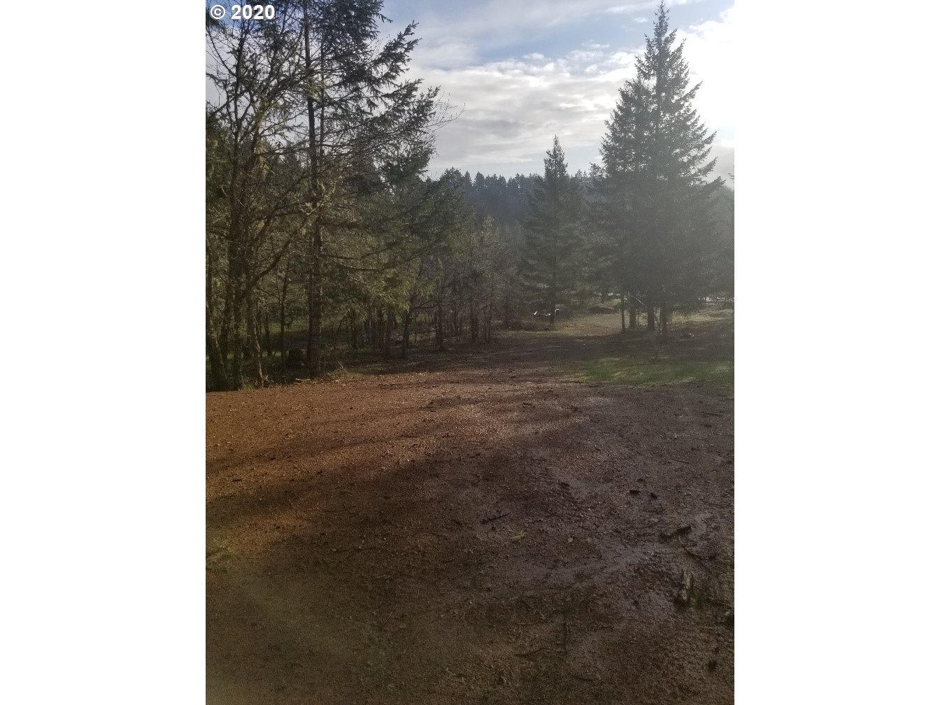 953 Lockwood Road Roseburg, OR 97471 - Photo 9 of 24 Gallery Image 9