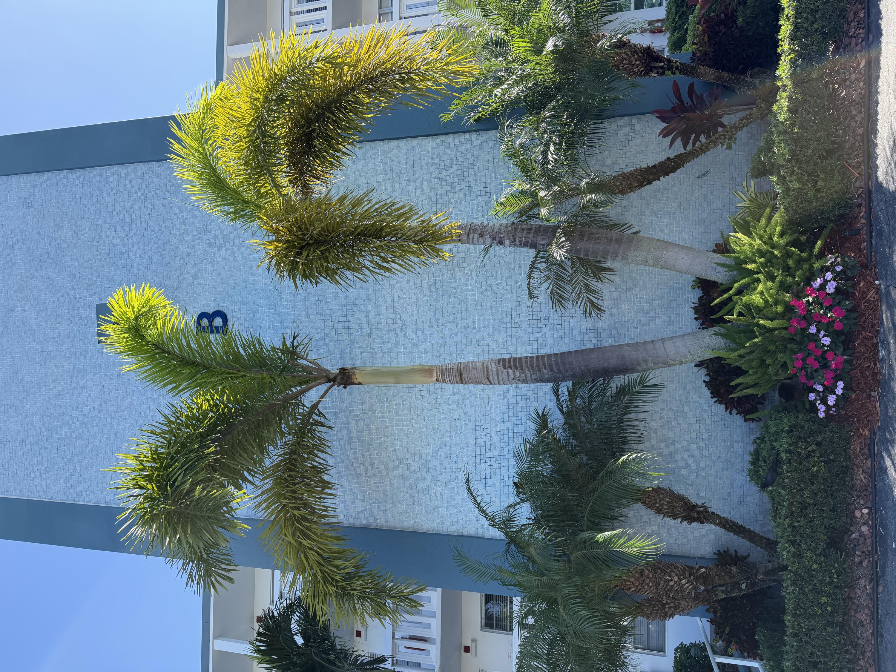 2029 Exeter Boca Raton, FL 33434 - Photo 20 of 20 PHOTOS