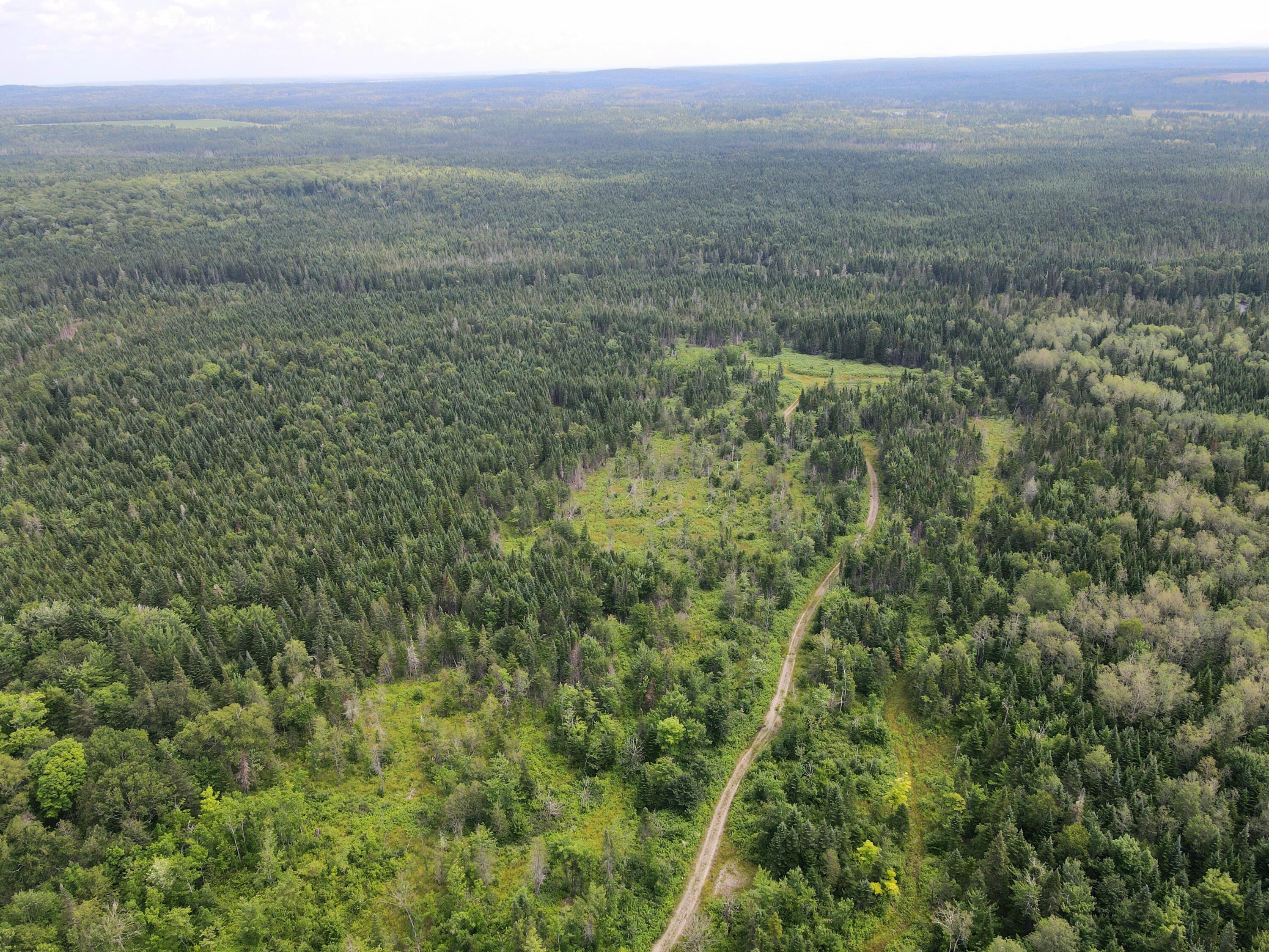 Lot 43.12 Jemptland Road Caribou, ME 04736 - Photo 15 of 23 dji_fly_20240718_115800_942_172132096536