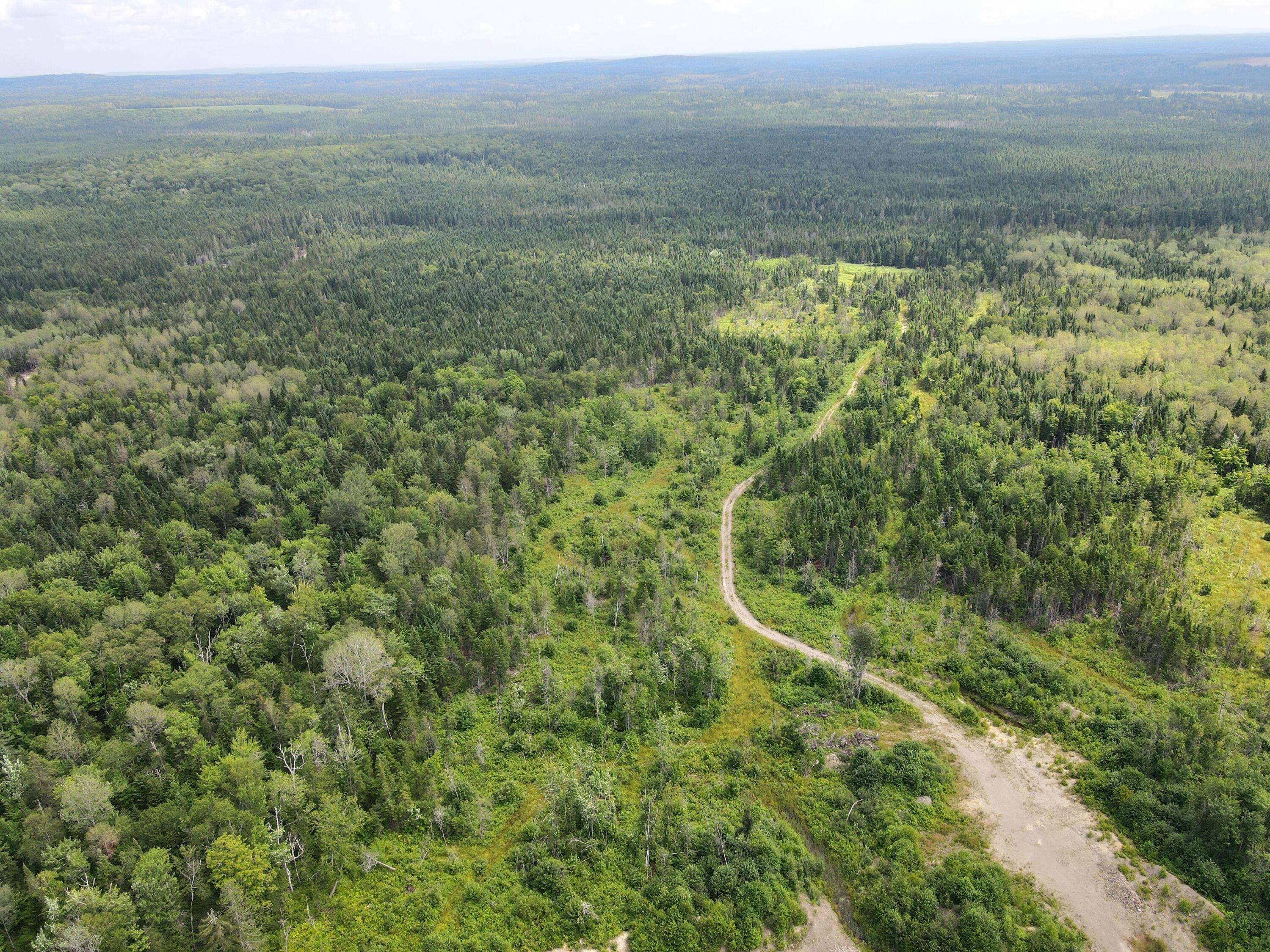 Lot 43.12 Jemptland Road Caribou, ME 04736 - Photo 17 of 23 dji_fly_20240718_115712_932_172132098617