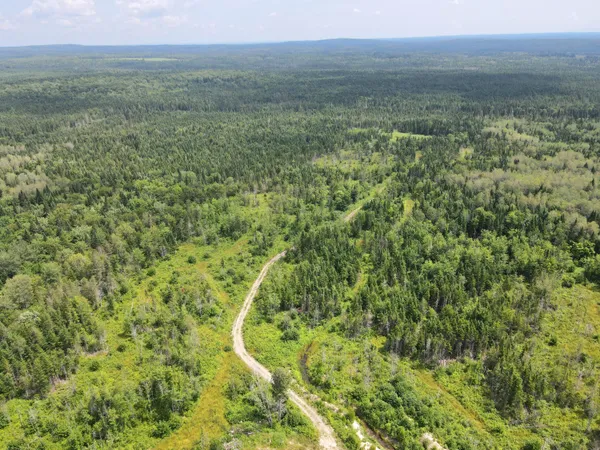 $99,900 | Lot 43.12 Jemptland Road, Caribou, ME 04736