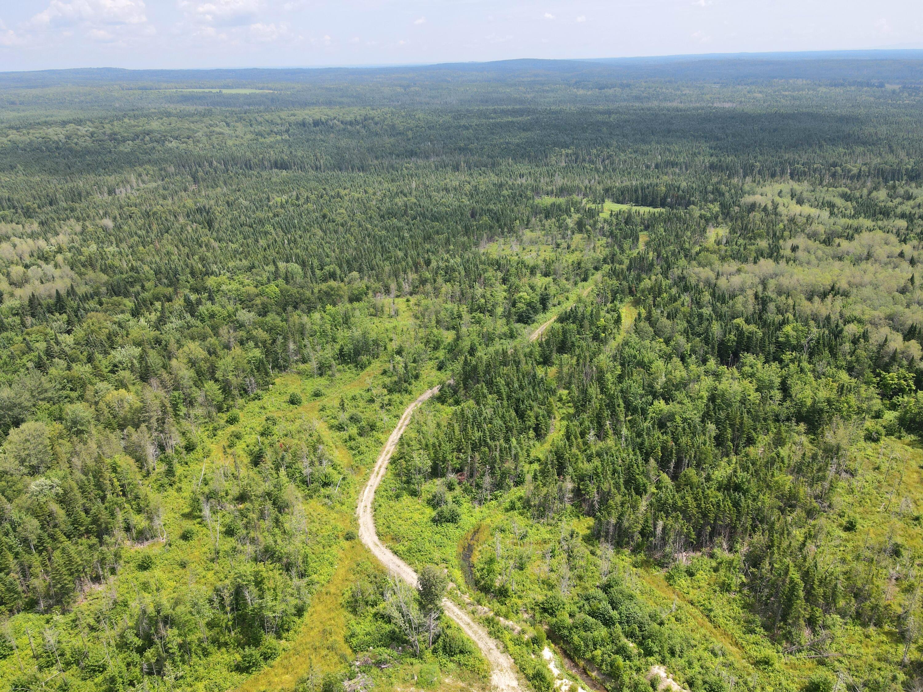Lot 43.12 Jemptland Road Caribou, ME 04736 - Photo 22 of 23 dji_fly_20240718_115236_893_172132107207