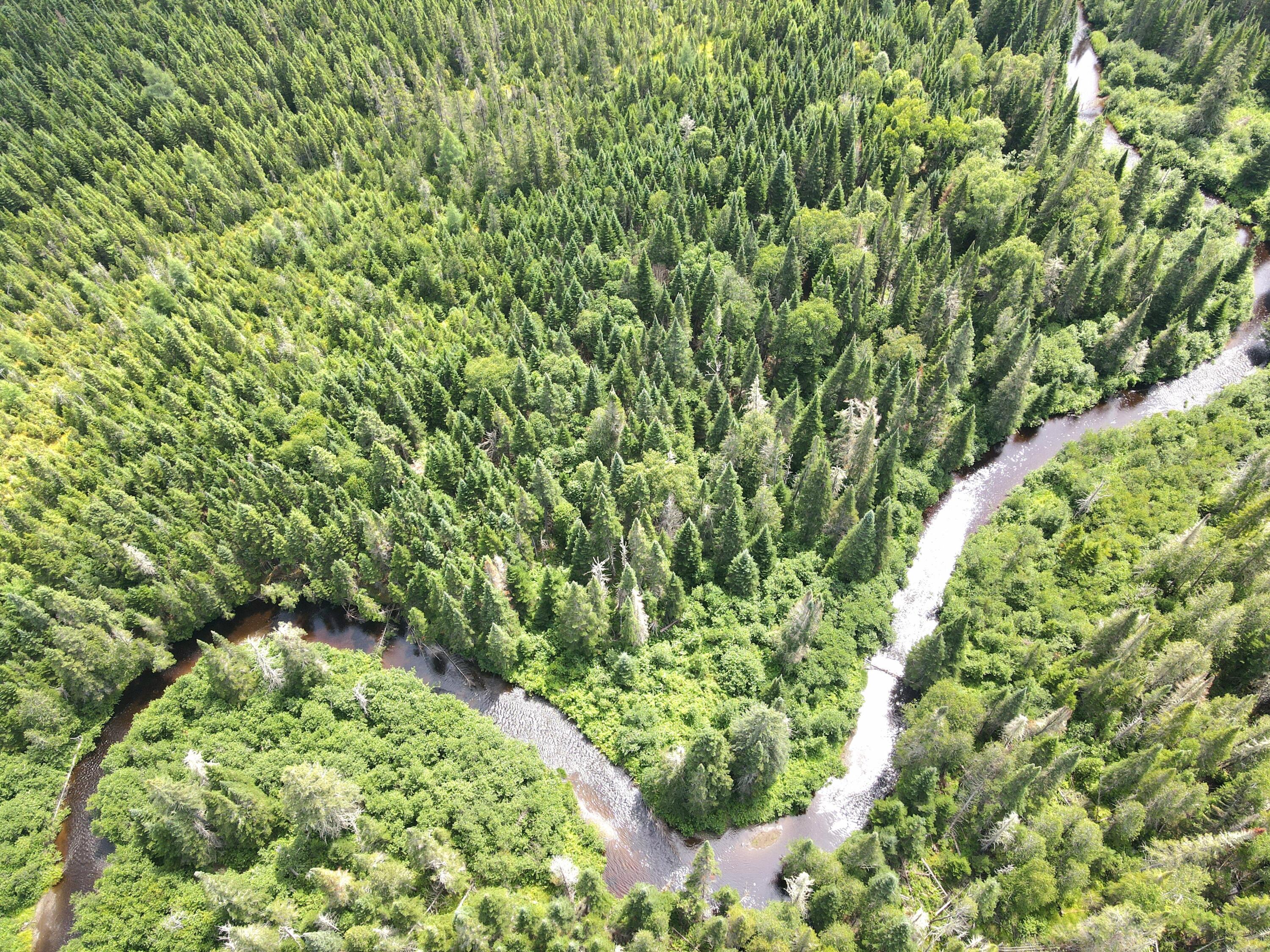 Lot 43.12 Jemptland Road Caribou, ME 04736 - Photo 8 of 23 dji_fly_20240718_120158_988_172132083330