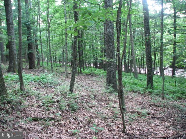 Carlisle Road Gardners, PA 17324 - Photo 1 of 19 Gallery Image 1