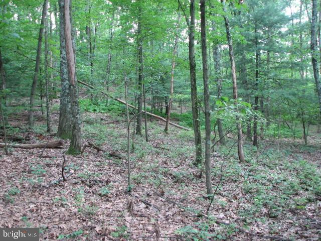 Carlisle Road Gardners, PA 17324 - Photo 11 of 19 Gallery Image 11