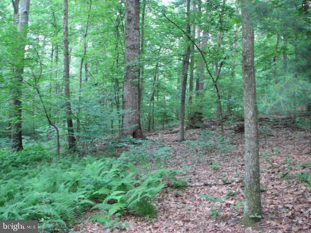 Carlisle Road Gardners, PA 17324 - Photo 12 of 19 Gallery Image 12