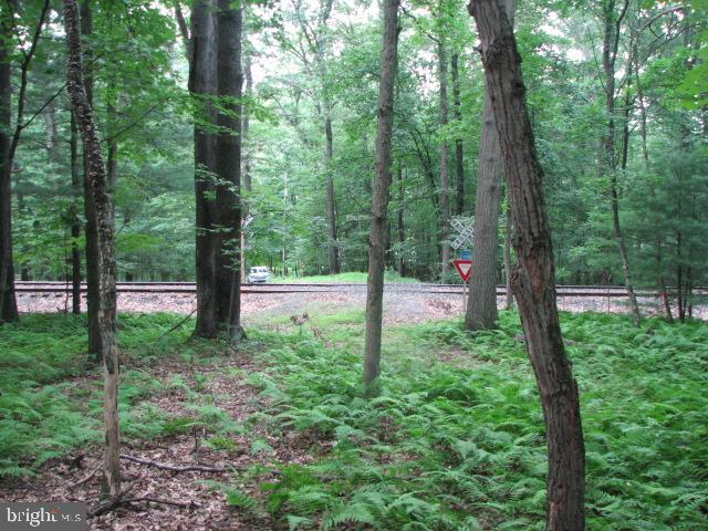 Carlisle Road Gardners, PA 17324 - Photo 13 of 19 Gallery Image 13