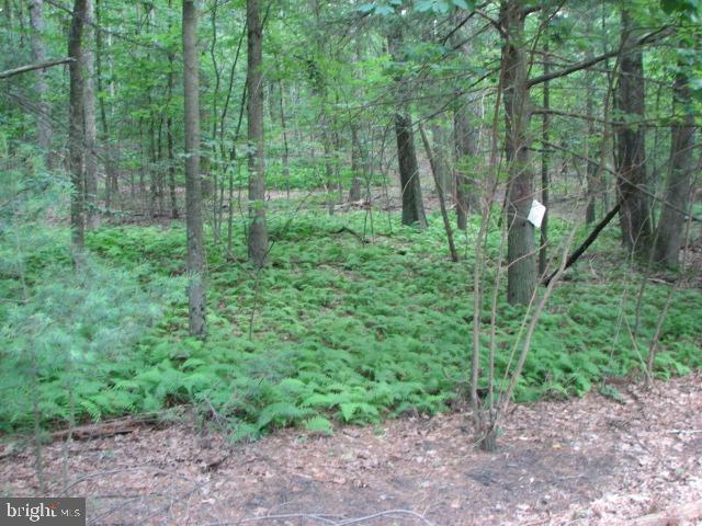 Carlisle Road Gardners, PA 17324 - Photo 15 of 19 Gallery Image 15