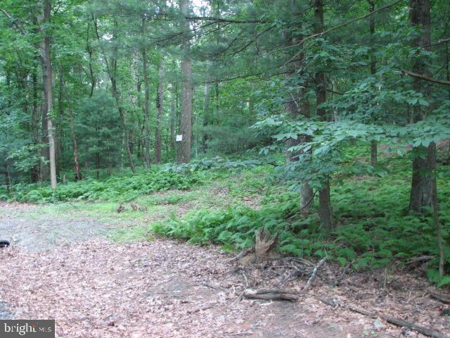 Carlisle Road Gardners, PA 17324 - Photo 16 of 19 Gallery Image 16