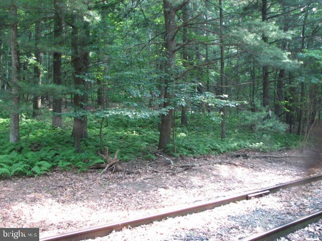 Carlisle Road Gardners, PA 17324 - Photo 6 of 19 Gallery Image 6