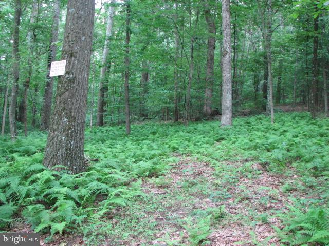 Carlisle Road Gardners, PA 17324 - Photo 9 of 19 Gallery Image 9