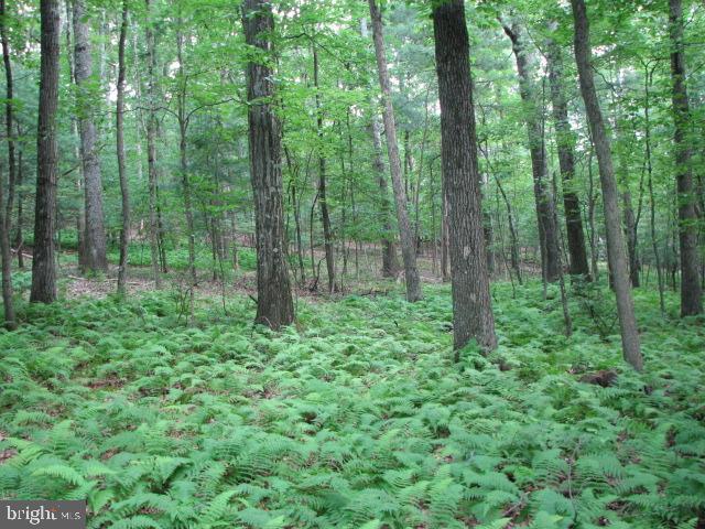 Carlisle Road Gardners, PA 17324 - Photo 10 of 19 Gallery Image 10
