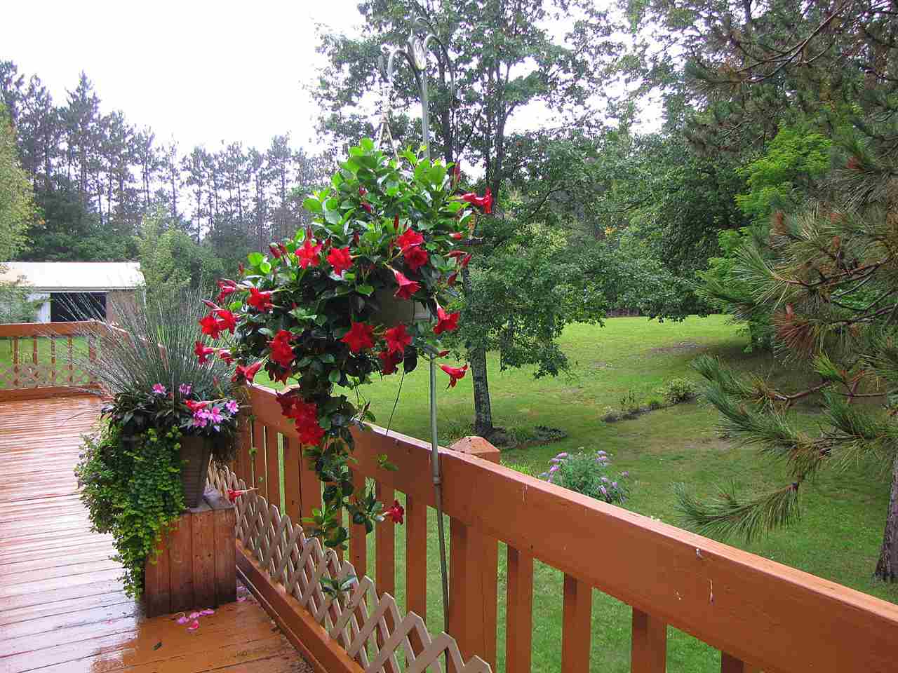 3650 West County Line Road Buckley, MI 49620 - Photo 15 of 33 1807323-14.JPG