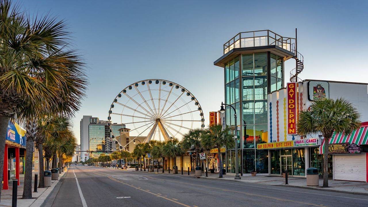 3036 Berry Bush Way Conway, SC 29526 - Photo 21 of 24
