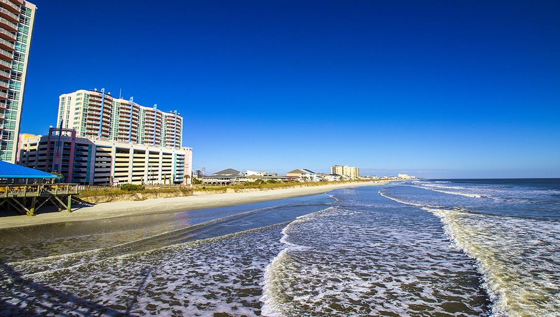 3036 Berry Bush Way Conway, SC 29526 - Photo 24 of 24