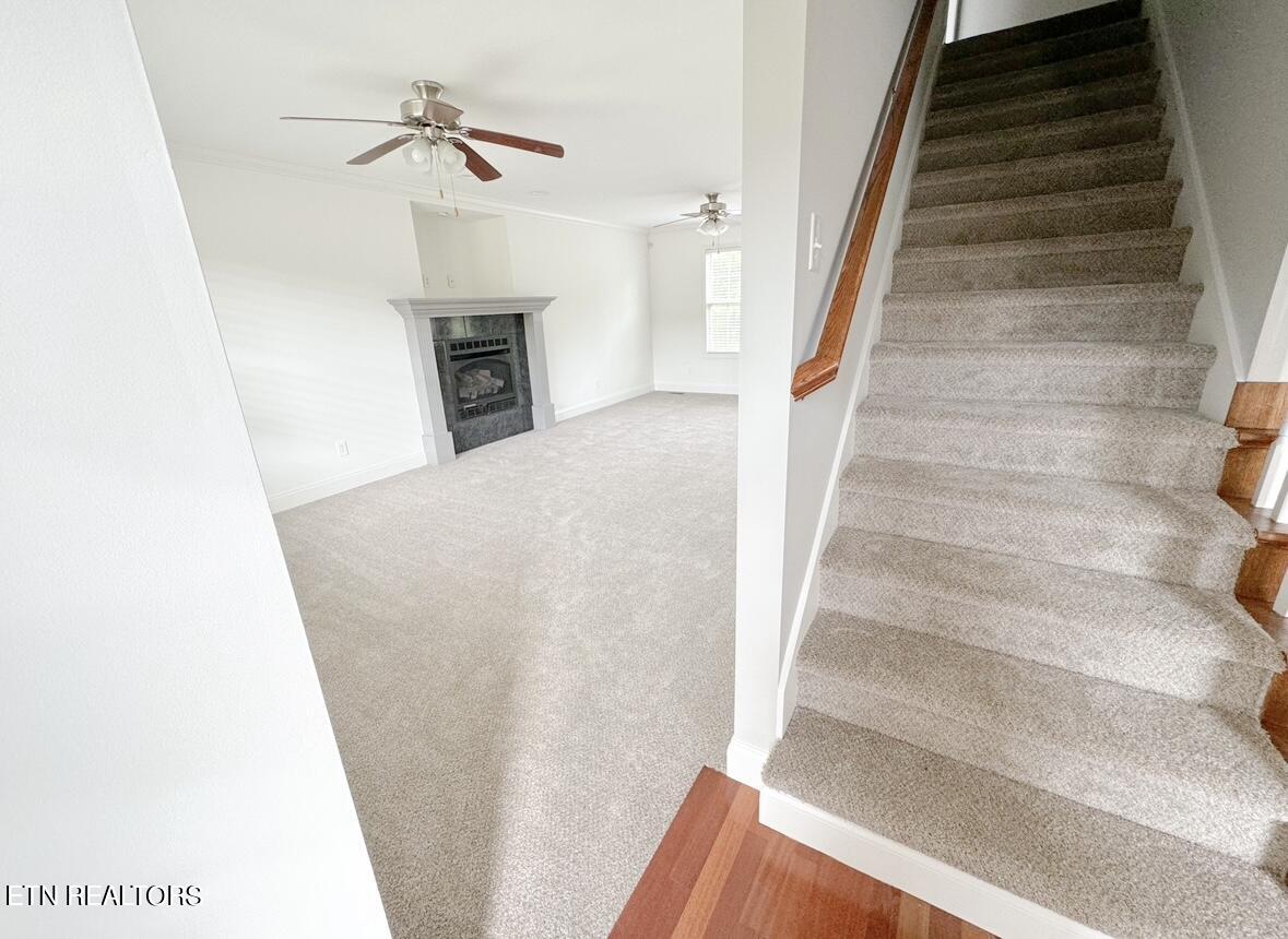 2108 Wesley Ridge Lane Knoxville, TN 37921 - Photo 6 of 27 IMG_0814
