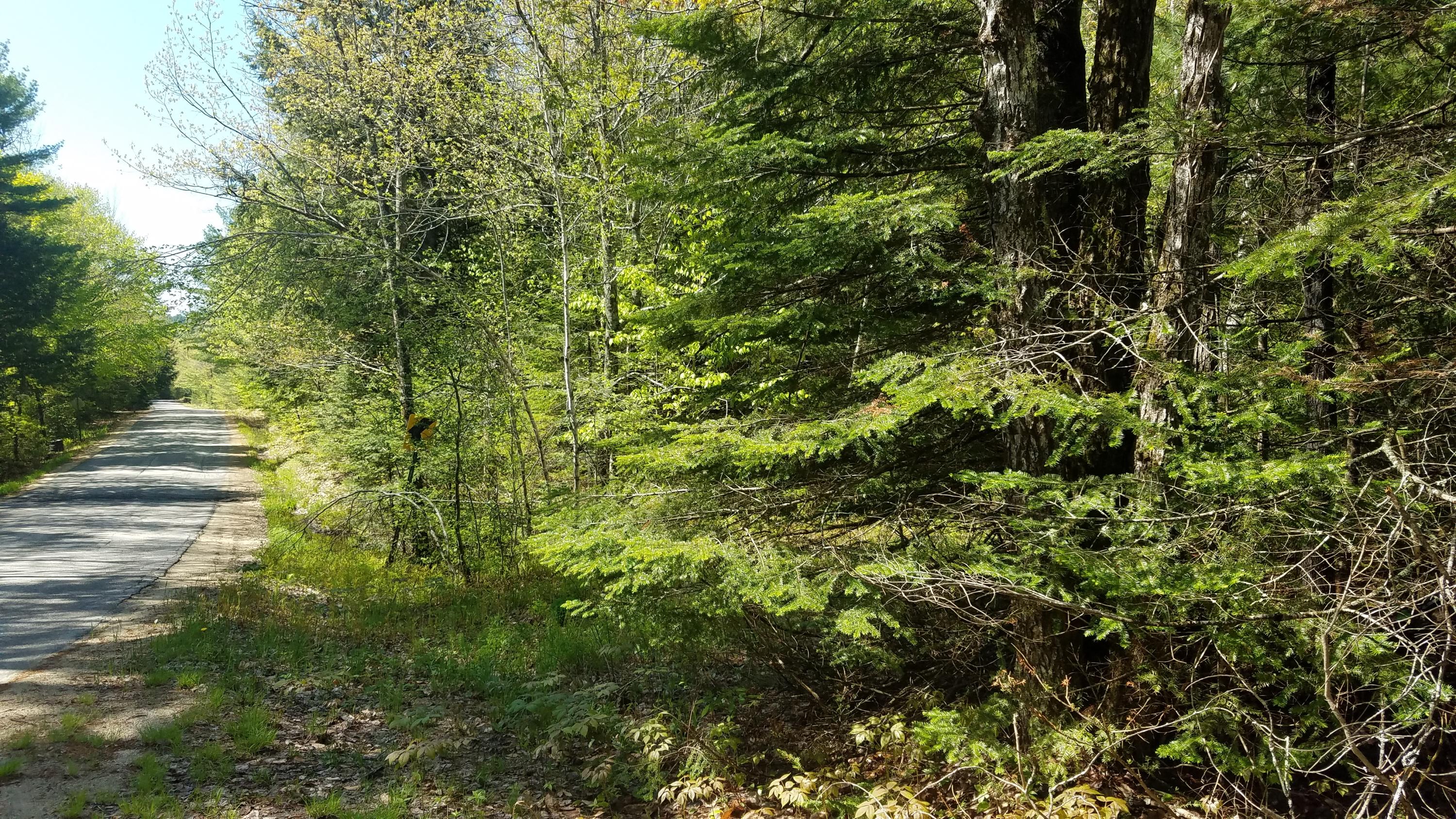 Tbd Stock Farm Road South Paris, ME 04281 - Photo 3 of 12 20190526_100248