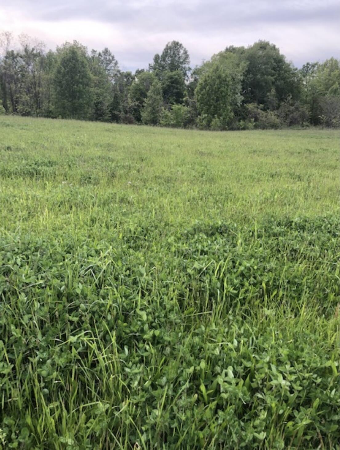 3 Hester Ridge Road Wallingford, KY 41093 - Photo 1 of 2 8B84D616-5552-4EDD-AFE4-53BC03097FA0