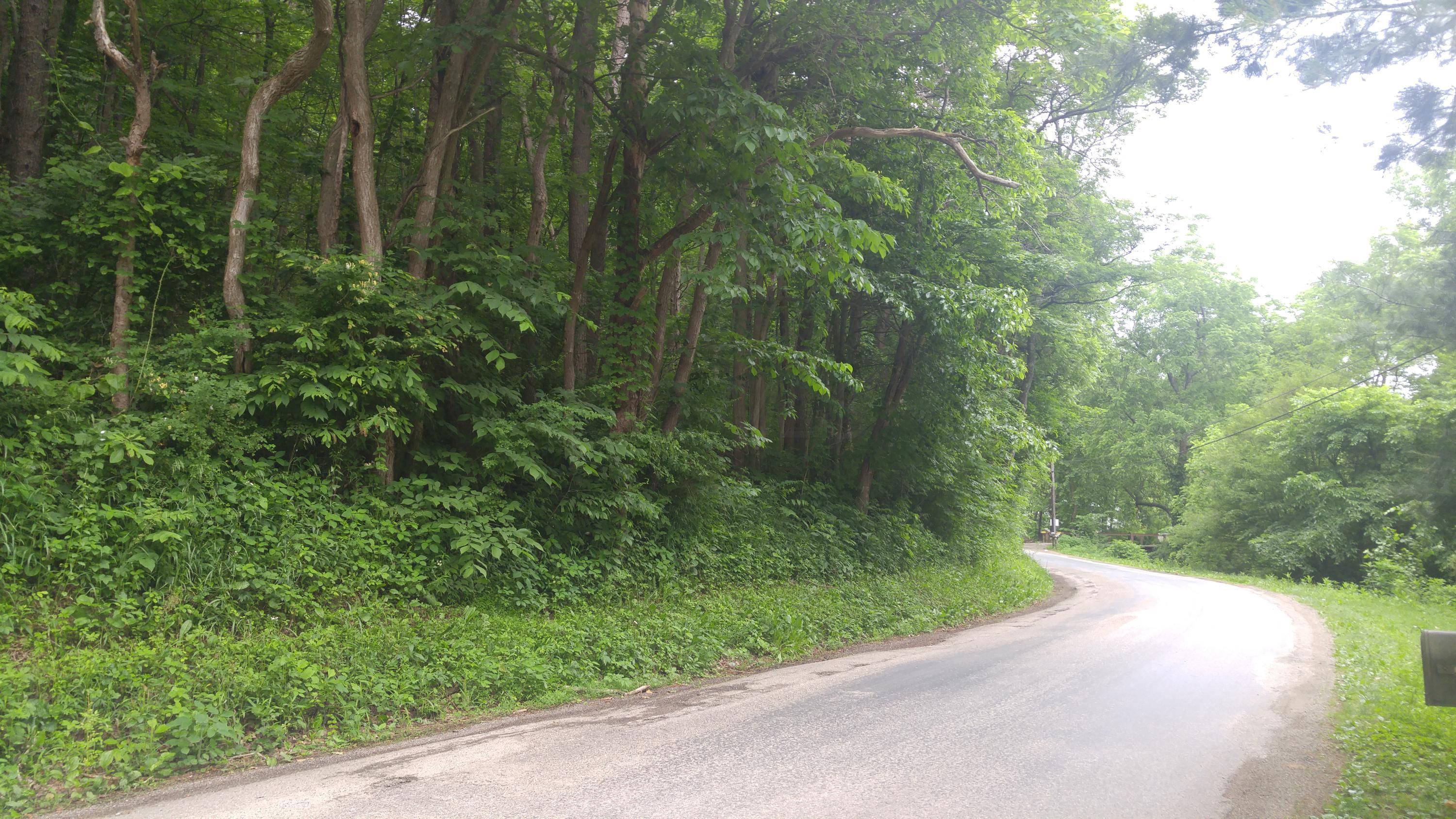 0 Pleasant Valley Road Logan, OH 43138 - Photo 1 of 2 Gallery Image 1